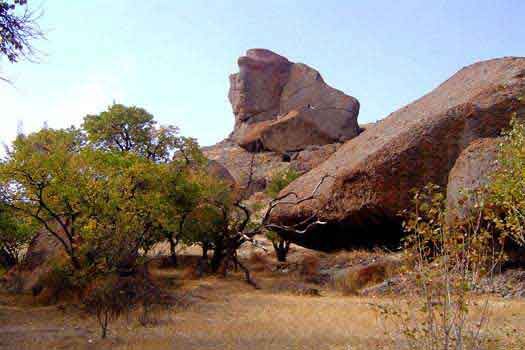 این پیکره طبیعی شبیه مجسمه ابوالهول مصر