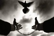 رهایی ۳ زندانی جرایم غیر عمد در فارس
