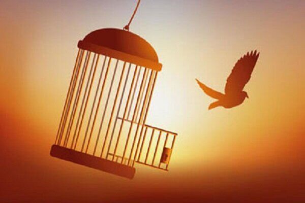 پرواز از پشت میلههای اسارت
