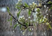 بارش‌های شدید بهاری در راه گیلان/ درحاشیه رودخانه ها اسکان نکنید