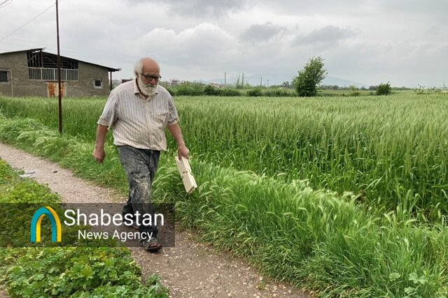 ساخت رحل به روش سنتی توسط آقا سیدعبدالله در جوار جنگل؛ تا زنده ام این کار را انجام می دهم