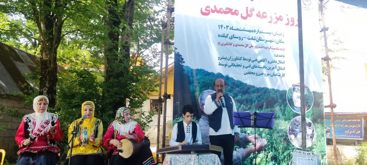روز مزرعه گل محمدی در گیلان برگزار شد