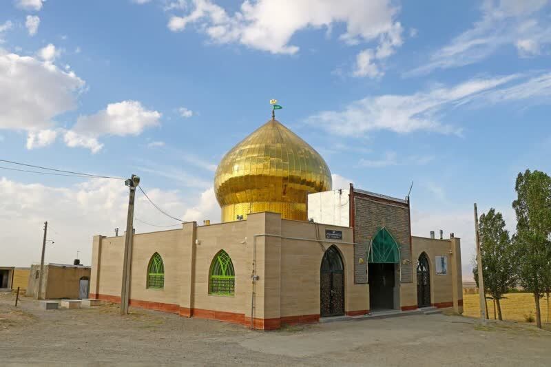 نگاهی به شجرهنامه امامزادگان شاخص استان زنجان