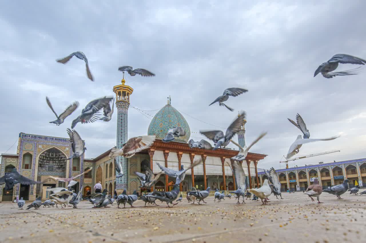 آیینهای فاطمی در حرم شاهچراغ(ع)؛ از خطبه فدکیه تا لالهگردانی خدام حرم