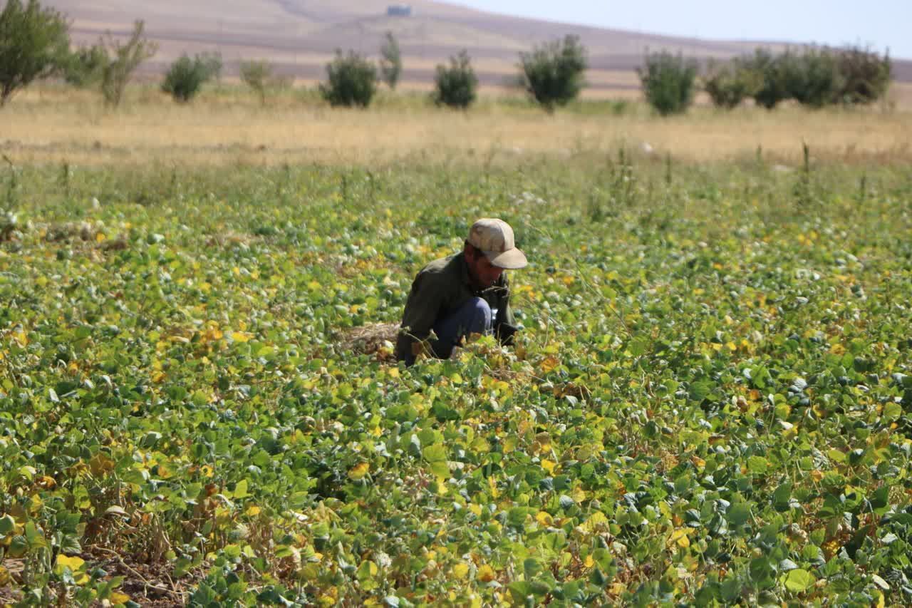 تحول‌گرایی در بهره‌وری از موقوفات استان زنجان