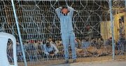 جزئیات تکان‌دهنده از وضعیت اسرای فلسطینی در بازداشتگاه «سدی تیمان»