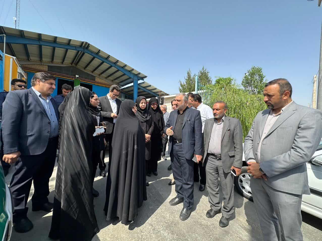 بازدید معاون زنان رییس جمهور از واحدهای تولیدی کارآفرینان زن چنارانی