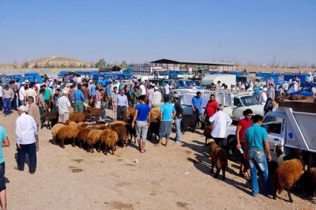 آداب و رسوم اهل سنت گلستان در عید قربان