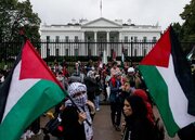 تظاهرات حمایت از فلسطین در «گنت» بلژیک + فیلم