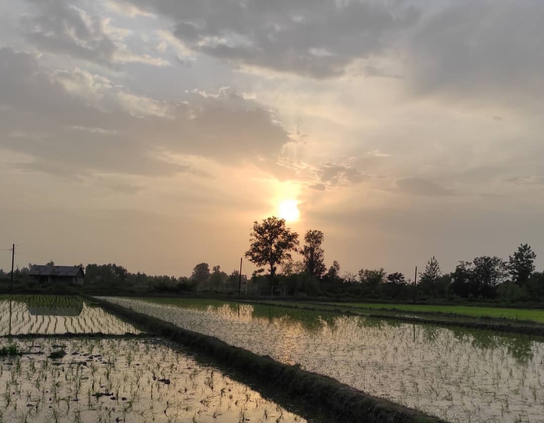 همت جوانان ویشکایی پای سفره غدیر/ قلکهایی که تبدیل به عیدی شدند