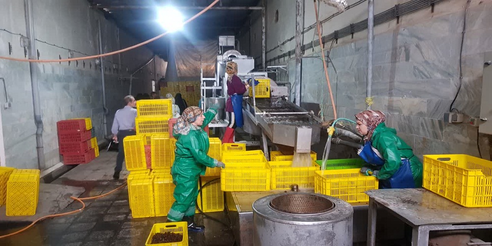 نمایشگاه پوشاک «گوهر شاد» به ایستگاه پایان رسید