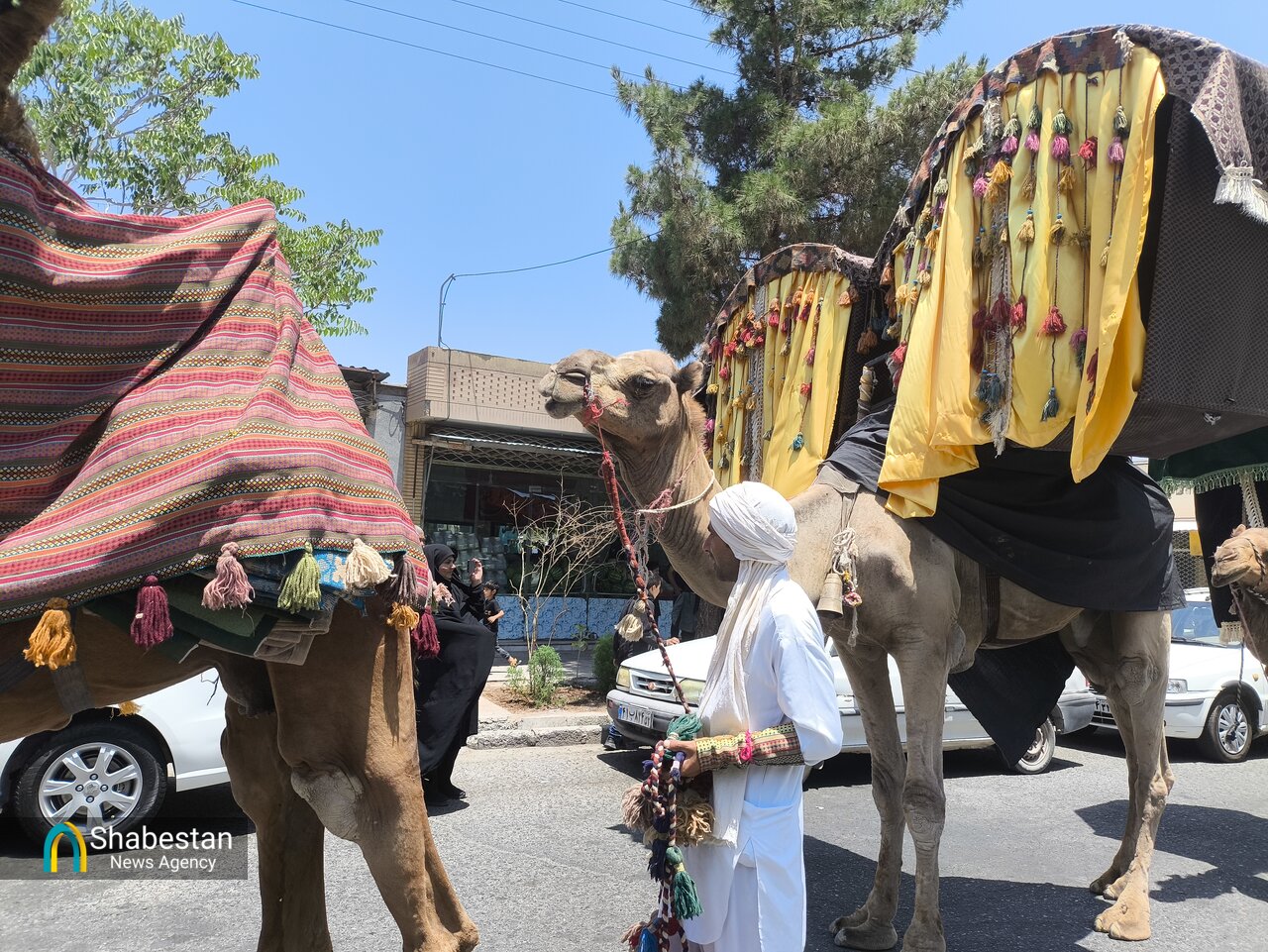 شبستان - حرکت کاروان نمادین نینوا در بیرجند