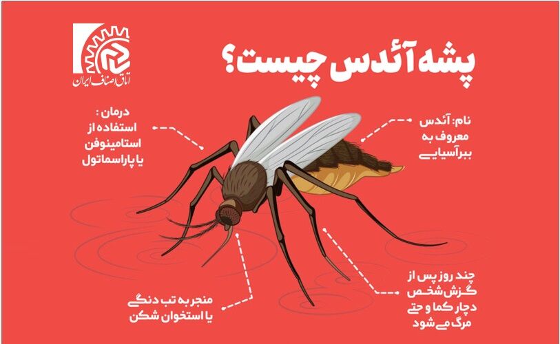 اطلاعیه اتاق اصناف ایران در خصوص هشدار شیوع تب دنگی