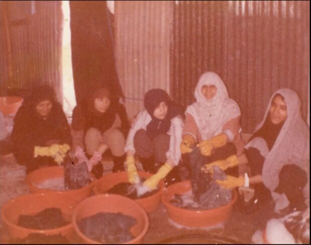 روزها، ماهها و سالها را شمردم تا شد پانزده سال