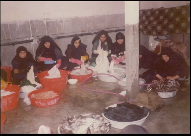 روزها، ماهها و سالها را شمردم تا شد پانزده سال