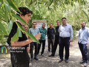 برنامه تربیتی کانون امام محمدباقر علیه‌السلام کرمان در دل طبیعت