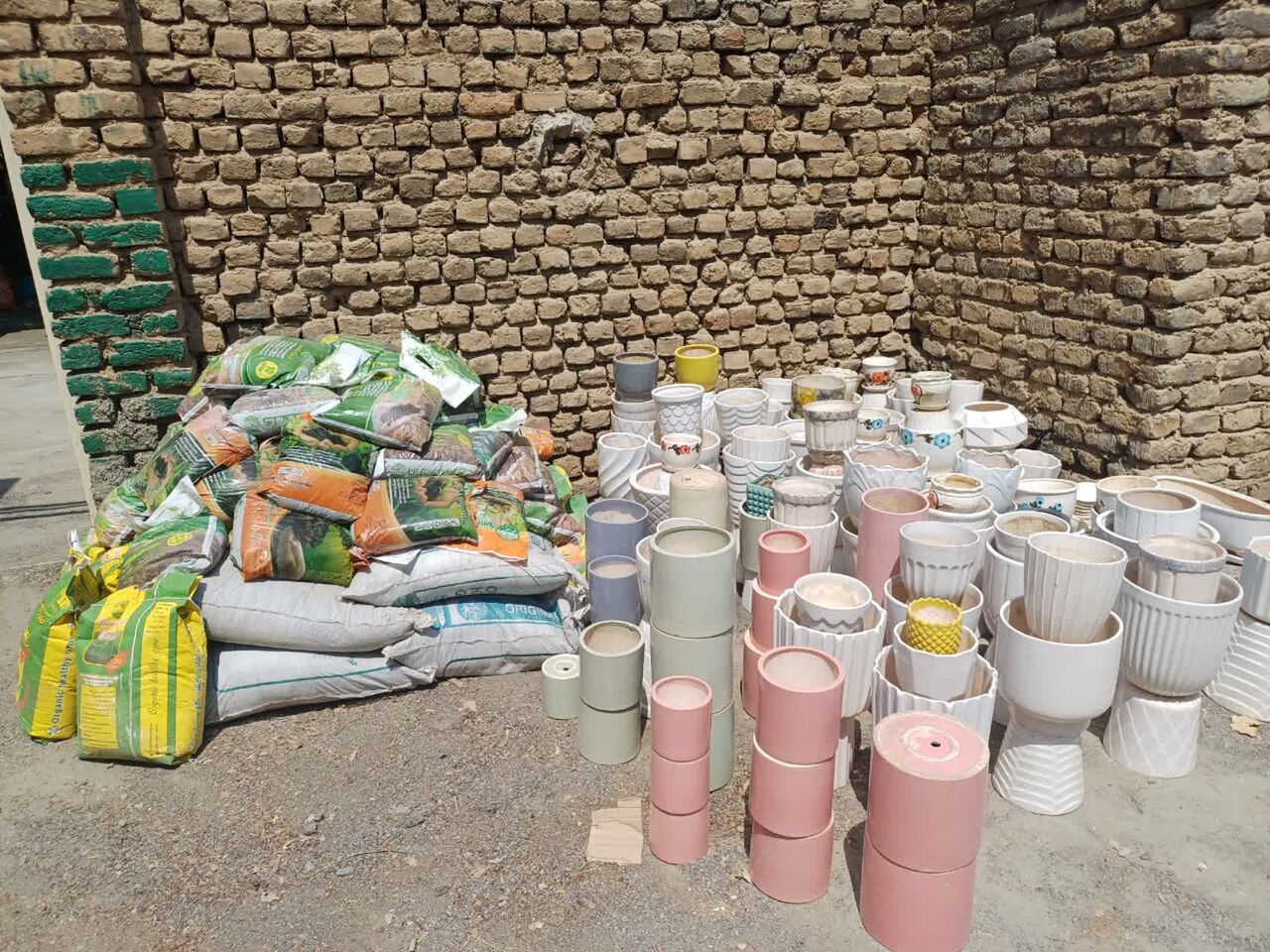 راهاندازی گلخانه در حیاط مسجد حضرت صاحب الامر(عج) کوی صالح آباد اراک