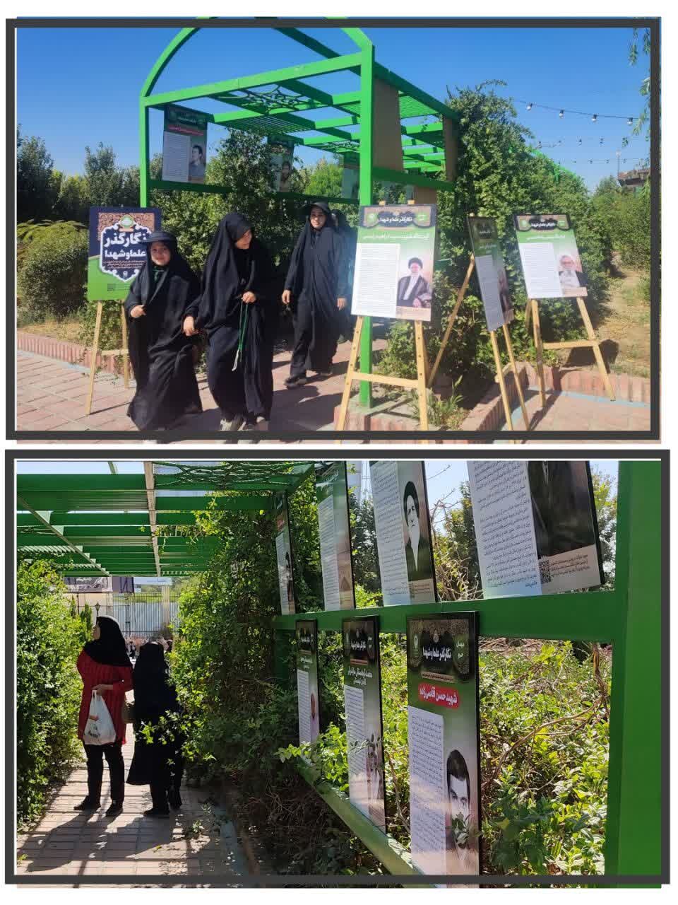 خدمتگزاری بانوان امام رضایی به زائرین پیاده