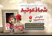 شهدای استان ما میهمانی برپا کرده اند