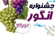 هفتمین جشنواره انگور در ارومیه برگزار می‌شود