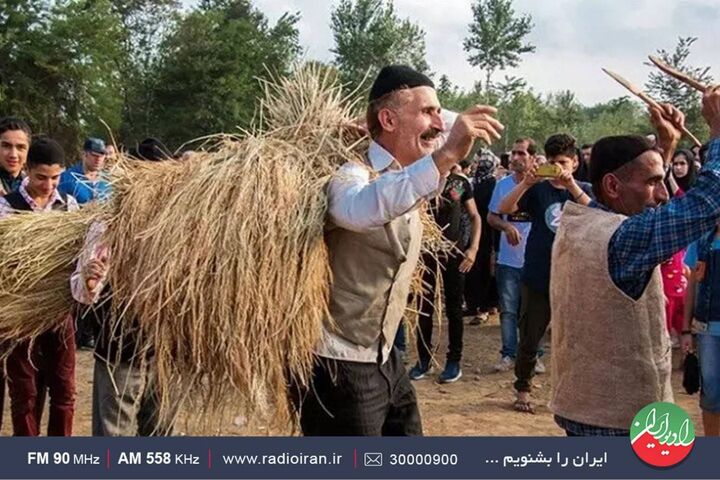 جشن خرمن و آیین شکرگزاری برداشت برنج در گیلان در  برنامه «فرهنگ مردم»