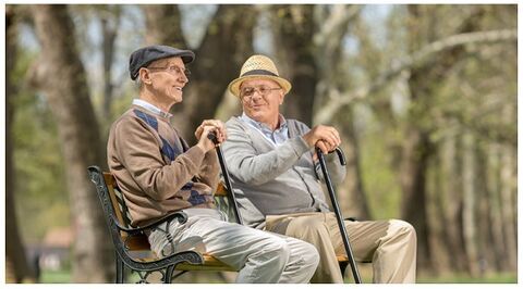 سالمندان خیر و برکت زندگی و نور هدایت خانوادهها