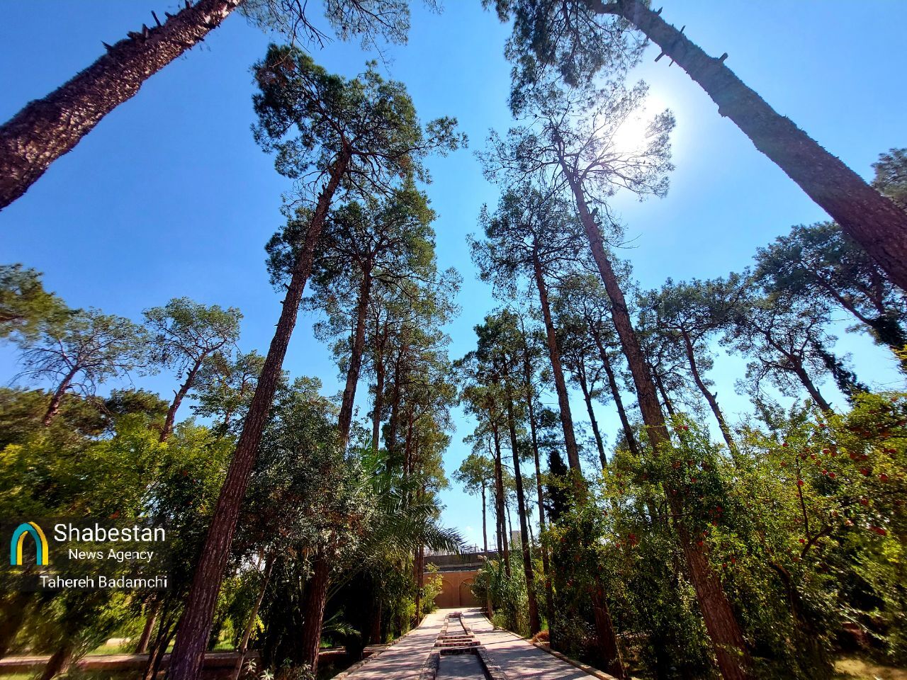 سهگانهای تازه در قلب شیراز/ نفس تازه در دل کهنترین مسجد