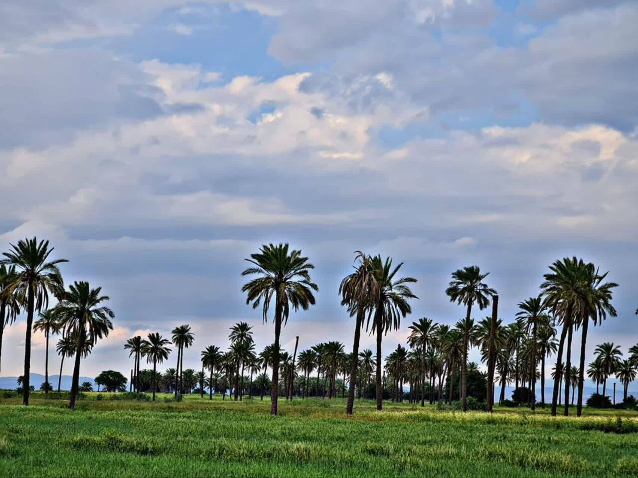 مسجدی که پاتوق کتاب‌خوان‌هاست