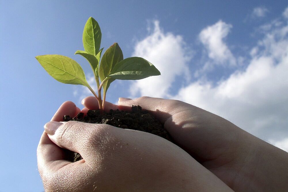 آغوش باز بخشش؛ کلید قلبهای مهربان