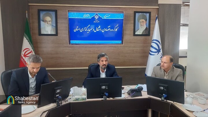 سند راهبردی زنجیره ارزش افزوده زرشک و گوهرسنگ خراسان جنوبی آماده است