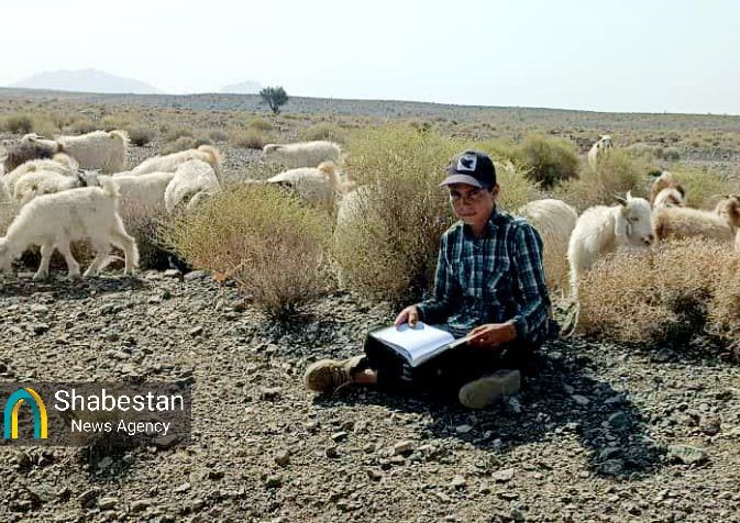 مسیر دانایی در ایل بچاقچی/ خواهرخواندگی، این بار میان دوستداران کتاب