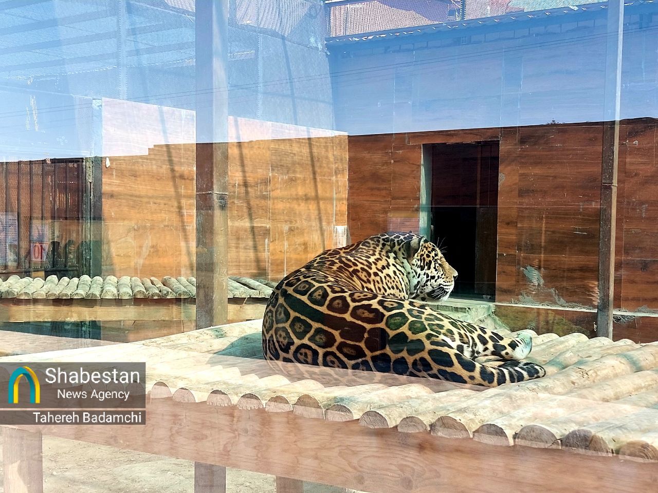 گلگهر؛ محصول انقلاب اسلامی، پیشتاز انجام مسئولیتهای اجتماعی