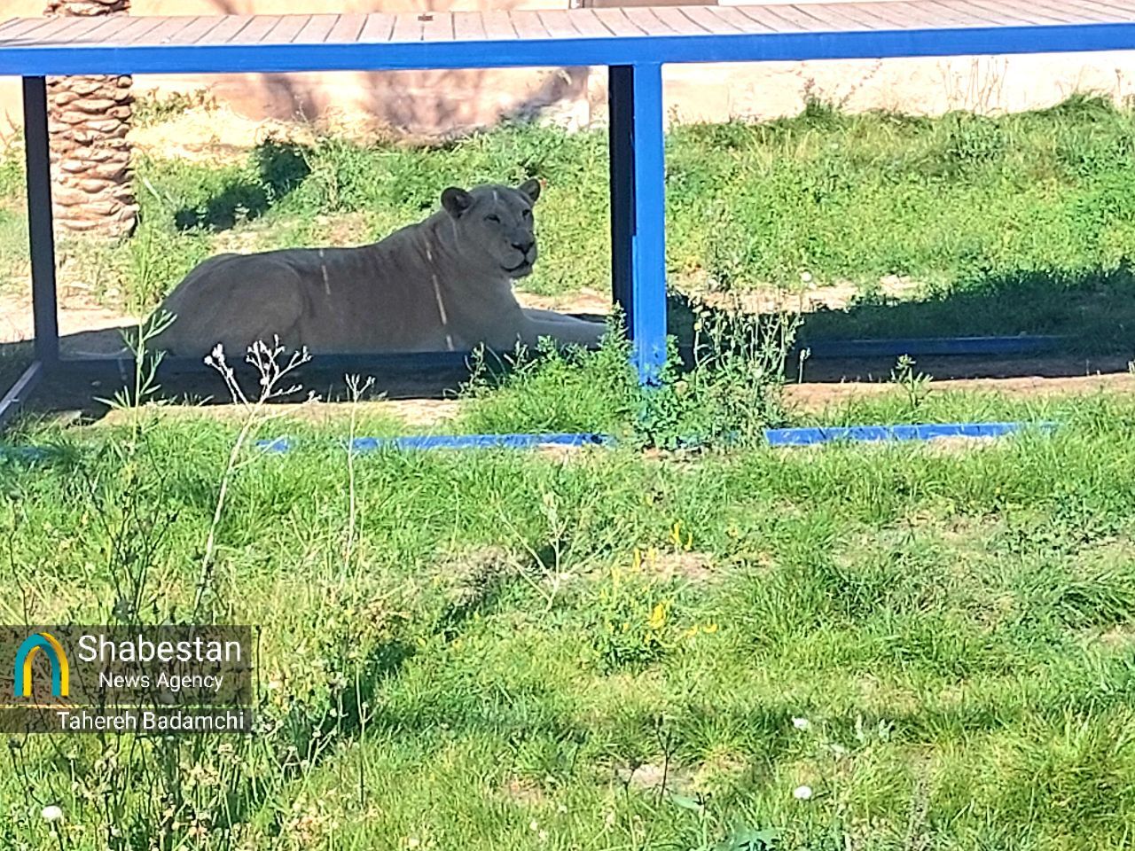 گلگهر؛ محصول انقلاب اسلامی، پیشتاز انجام مسئولیتهای اجتماعی