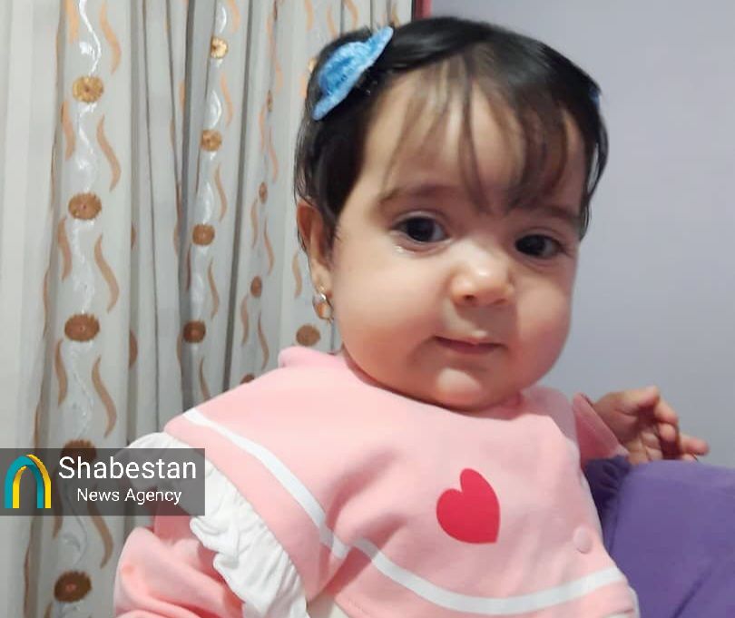 لحظهشماری برای مزایده متفاوتترین هدیه به جبهه مقاومت/ عکسی عجیب از دختر کاپشنصورتی