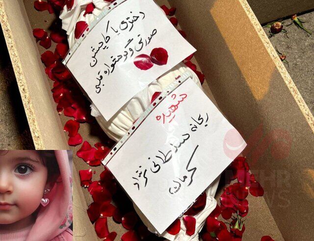 لحظهشماری برای مزایده متفاوتترین هدیه به جبهه مقاومت/ عکسی عجیب از دختر کاپشنصورتی