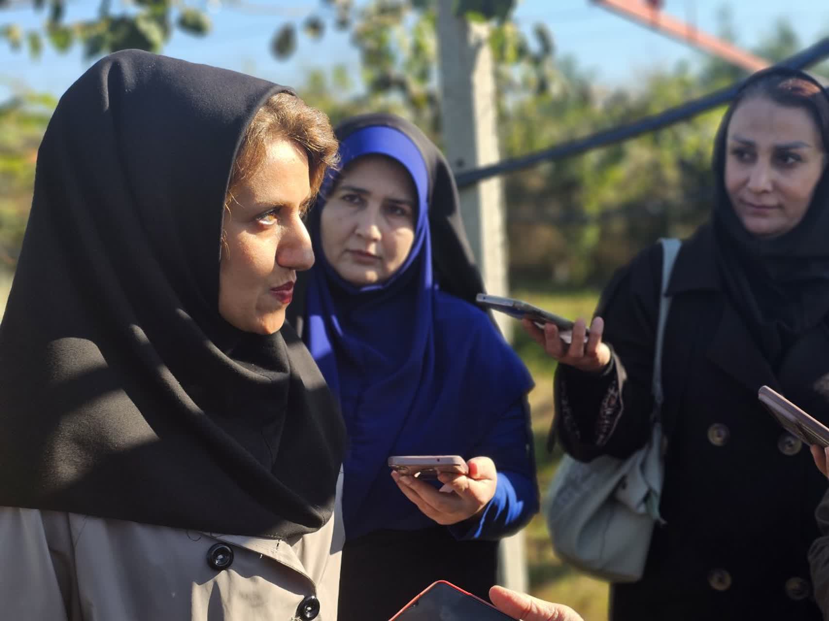 جهاد تولید، درآمدی پایدار/ نهالی که بدون خاک ارز آوری میکند