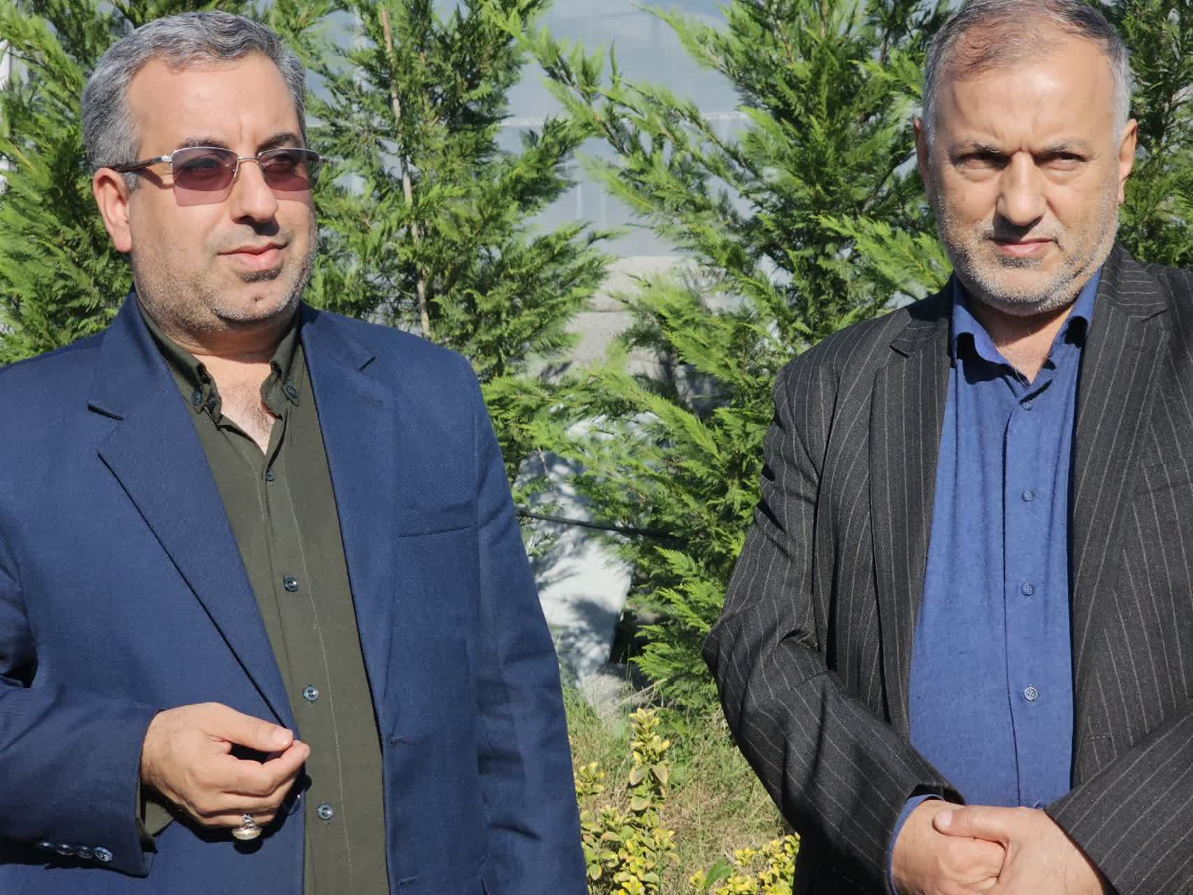 جهاد تولید، درآمدی پایدار/ نهالی که بدون خاک ارز آوری میکند