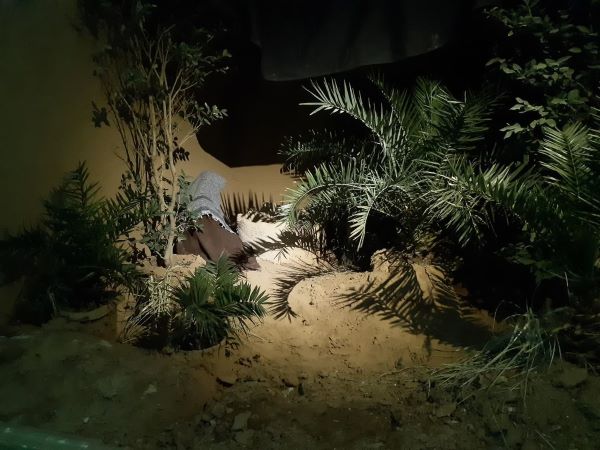 حقطلبیِ فاطمی به روایت نمایشگاهی تجسمی