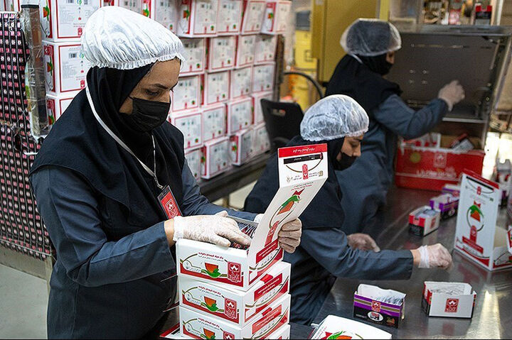 محموله‌های توقیف شده چای دبش به فروش رسیدند