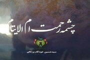 کتاب «چشمه رحمت ام الایتام» روانه بازار شد