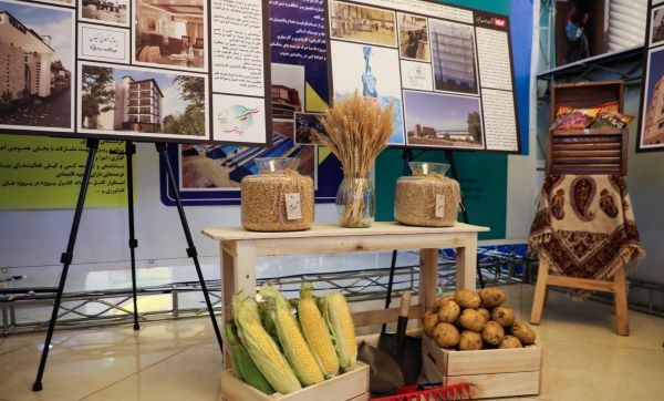 اتفاقات مبارکِ اقتصادی در سایه پیوند وقف و دانشبنیانها