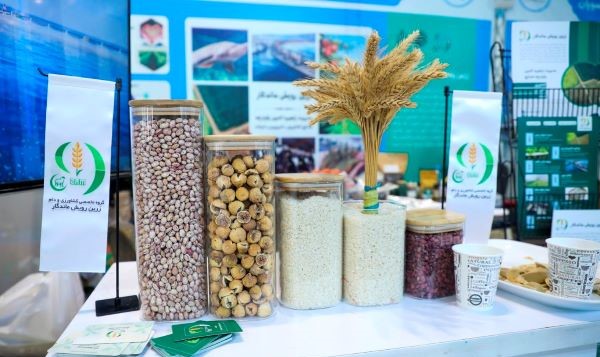 اتفاقات مبارکِ اقتصادی در سایه پیوند وقف و دانشبنیانها