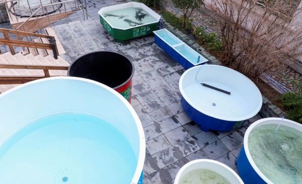 اتفاقات مبارکِ اقتصادی در سایه پیوند وقف و دانشبنیانها