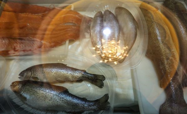 اتفاقات مبارکِ اقتصادی در سایه پیوند وقف و دانشبنیانها