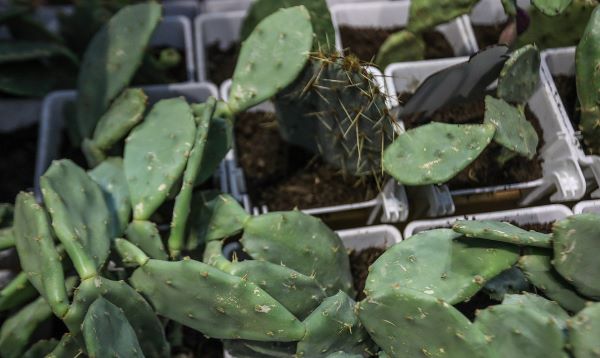 اتفاقات مبارکِ اقتصادی در سایه پیوند وقف و دانشبنیانها