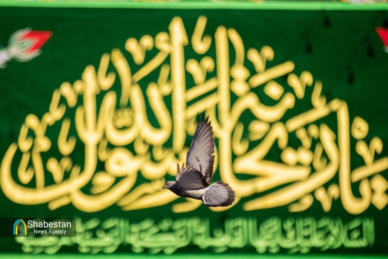 نماز، یادگار نهضت حسینی؛ مدیون سیدالشهدا هستیم