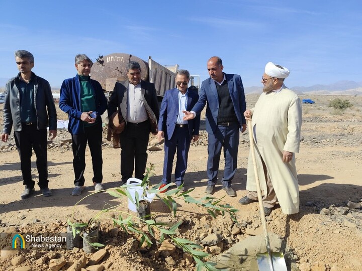 پویش سراسری درختکاری «به نام پدر» در آستانه میلاد امام علی(ع)