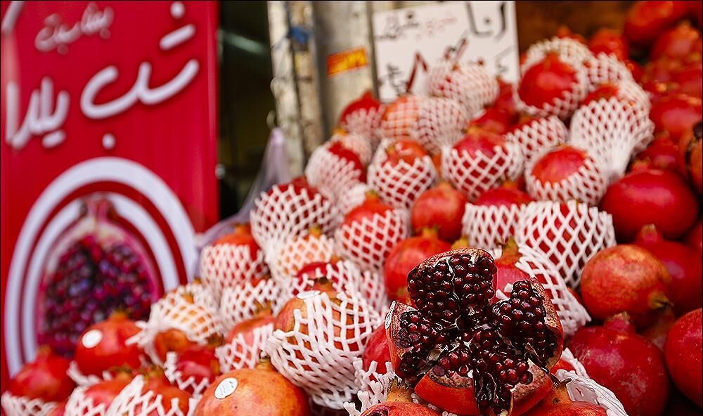 یلدای مهدوی؛ چراغهای روشن در بلندترین شب سال