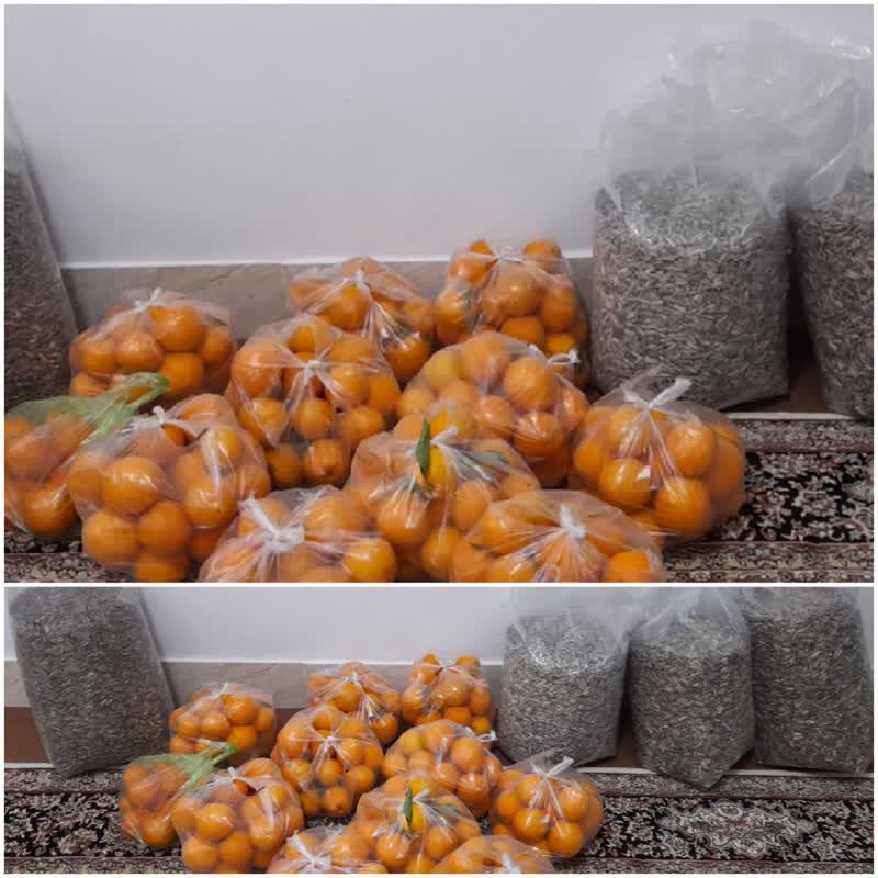 بانویی مسجدی که با نام شهید ابراهیم هادی یاریرسان محرومان شد