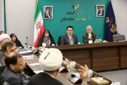 حضور معاون رئیس‌جمهور در امور زنان و خانواده در جلسه امروز شورای فرهنگ عمومی کشور